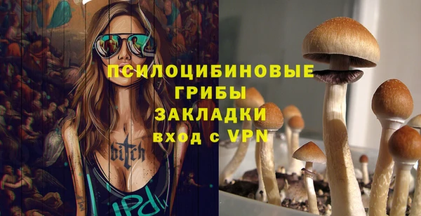 крисы Алзамай