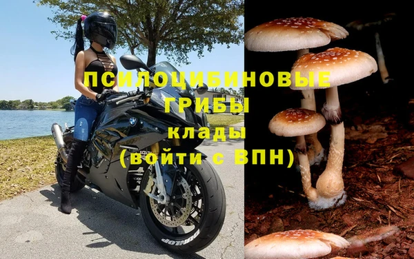 первитин Абинск
