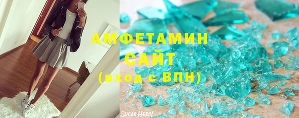 прущие грибы Осташков