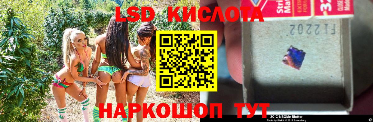 Наркотические марки  Вход с VPN  Мурино  Марки NBOMe 1,5мг  Марки NBOMe 1,5мг 