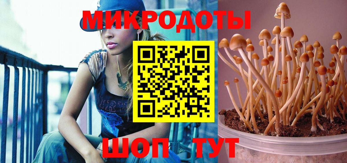 Псилоцибиновые грибы Cubensis  Вход с VPN  наркотики  Мурино 